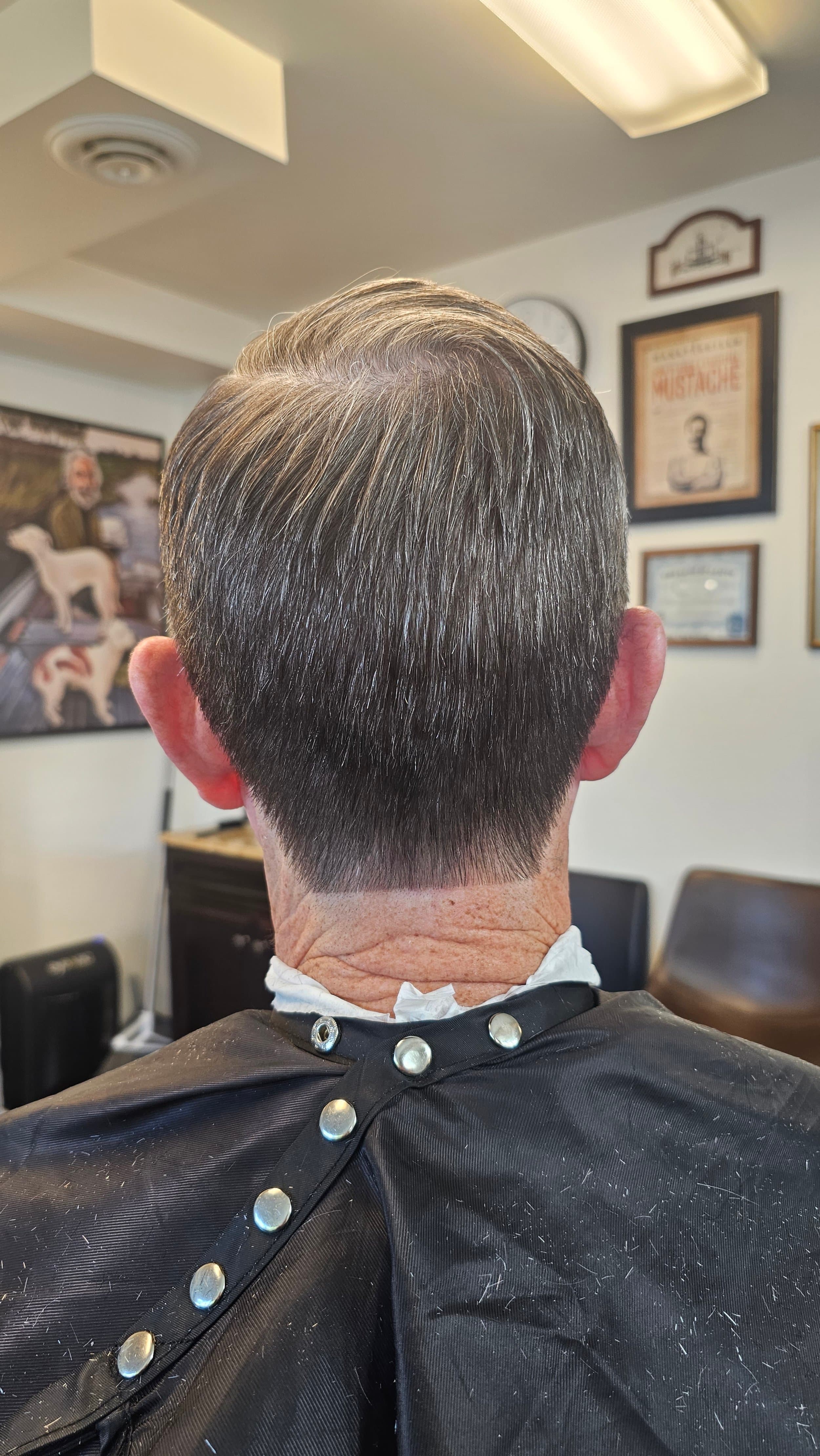 Barber 2